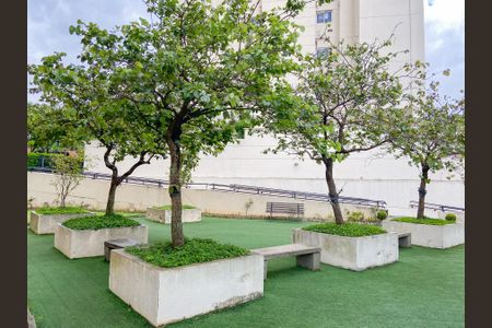 area comum de apartamento para alugar com 2 quartos, 50m² em Vila Lageado, São Paulo