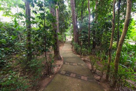 Apartamento para alugar com 60m², 2 quartos e 1 vagaÁrea comum 