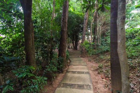 Apartamento para alugar com 60m², 2 quartos e 1 vagaÁrea comum 