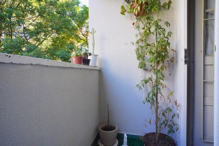 Varanda  de apartamento para alugar com 3 quartos, 111m² em Petrópolis, Porto Alegre