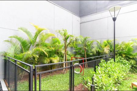 Apartamento para alugar com 68m², 2 quartos e 1 vaga Apartamento para alugar com 68m², 2 quartos e 1 vagaÁrea comum - Espaço Pet