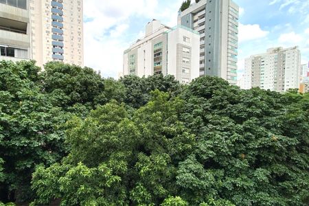 Vista da Suite 1 de apartamento à venda com 2 quartos, 65m² em Funcionários, Belo Horizonte