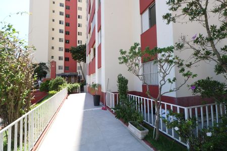 Apartamento para alugar com 54m², 2 quartos e 1 vagaÁrea comum