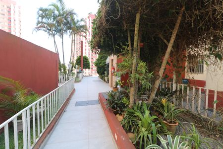 Apartamento para alugar com 54m², 2 quartos e 1 vagaÁrea comum