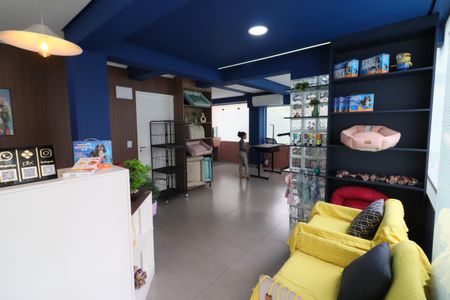 Apartamento para alugar com 72m², 3 quartos e 1 vagaÁrea comum - Petshop