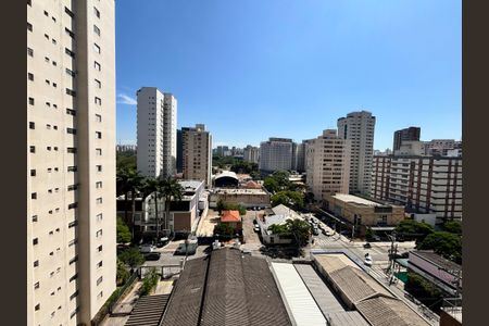 Apartamento para alugar com 29m², 1 quarto e sem vagaVista