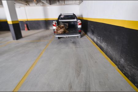 Apartamento à venda com 109m², 3 quartos e 2 vagasGaragem