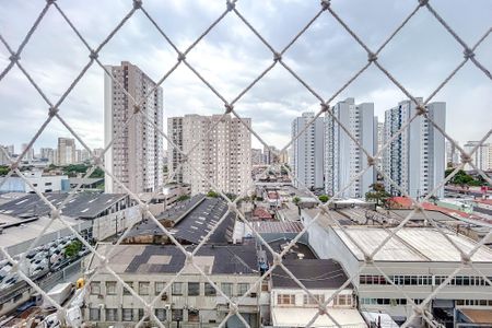 Apartamento para alugar com 69m², 3 quartos e 1 vagaVista do Quarto 1