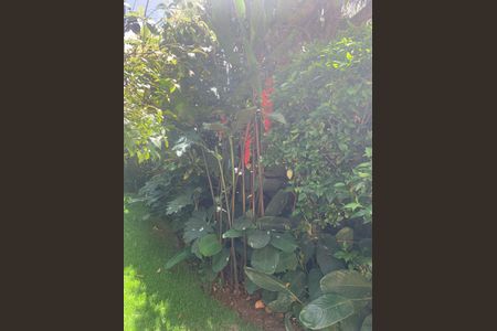 Casa à venda com 350m², 5 quartos e 5 vagas