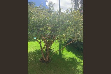 Casa à venda com 350m², 5 quartos e 5 vagas