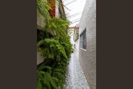 Casa à venda com 190m², 2 quartos e 3 vagas Casa à venda com 190m², 2 quartos e 3 vagasCorredor Lateral