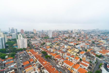 Apartamento para alugar com 2 quartos, 50m² em Vila Santa Catarina, São Paulo