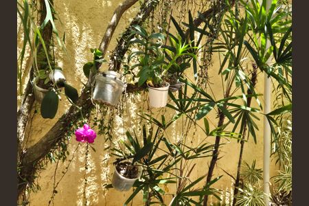 Casa à venda com 85m², 2 quartos e 2 vagas Casa à venda com 85m², 2 quartos e 2 vagasÁrea comum