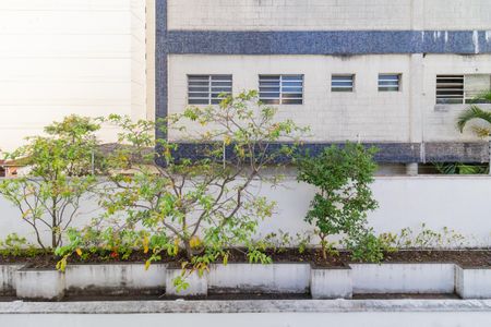 Vista do Quarto de apartamento para alugar com 2 quartos, 56m² em Perdizes, São Paulo
