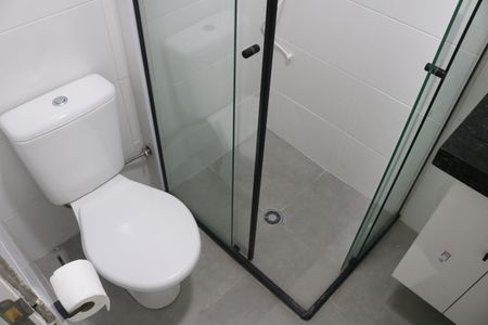 Banheiro de apartamento para alugar com 2 quartos, 34m² em Parque Industrial Tomas Edson, São Paulo