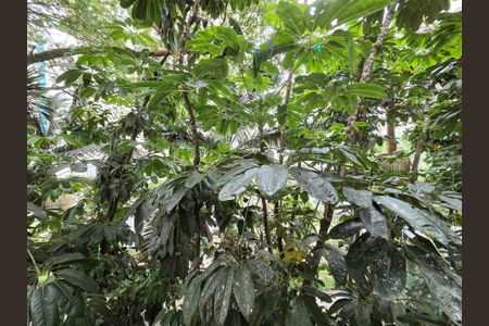 Apartamento para alugar com 37m², 1 quarto e 1 vaga Apartamento para alugar com 37m², 1 quarto e 1 vagaVista da Varanda