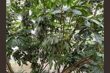 Apartamento para alugar com 37m², 1 quarto e 1 vaga Apartamento para alugar com 37m², 1 quarto e 1 vagaVista da Varanda