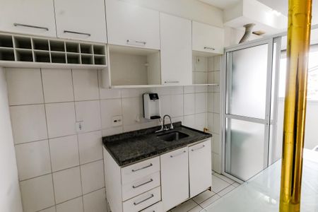 Apartamento à venda com 52m², 2 quartos e 1 vagaCozinha - Armários