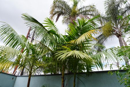 Casa para alugar com 468m², 5 quartos e 4 vagasÁrea comum