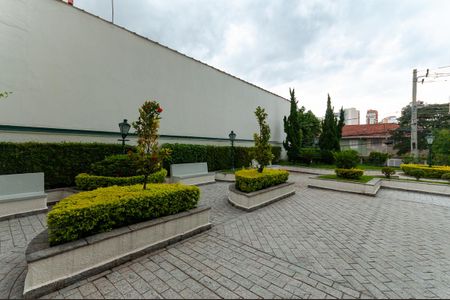 Apartamento para alugar com 240m², 3 quartos e 2 vagasÁrea Comum