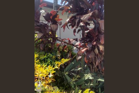 Casa à venda com 200m², 2 quartos e 2 vagas Casa à venda com 200m², 2 quartos e 2 vagasFoto 25