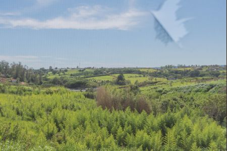 Apartamento à venda com 47m², 2 quartos e 1 vaga Apartamento à venda com 47m², 2 quartos e 1 vagaVista do Quarto 1