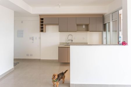 Apartamento para alugar com 55m², 2 quartos e 1 vaga Apartamento para alugar com 55m², 2 quartos e 1 vagaCozinha