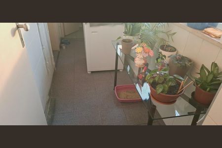 Apartamento à venda com 113m², 3 quartos e 1 vaga
