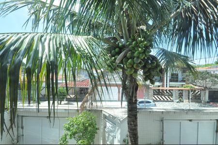 Casa à venda com 300m², 3 quartos e 5 vagasVista da Suíte Master