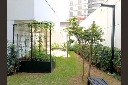 Studio para alugar com 29m², 1 quarto e sem vaga Studio para alugar com 29m², 1 quarto e sem vagaÁrea comum