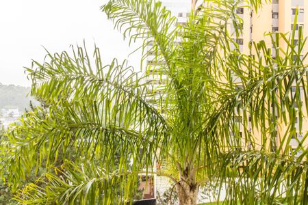 Apartamento à venda com 87m², 3 quartos e 2 vagasVista