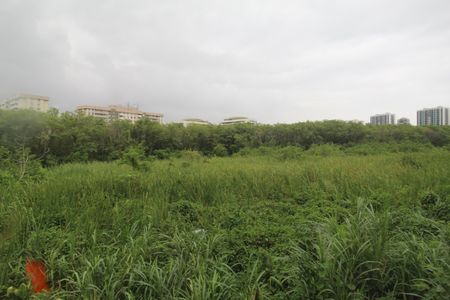 Apartamento para alugar com 40m², 1 quarto e sem vagaCozinha - Vista