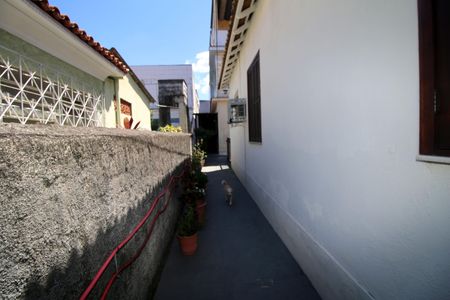 Casa para alugar com 251m², 4 quartos e 1 vagaQuintal