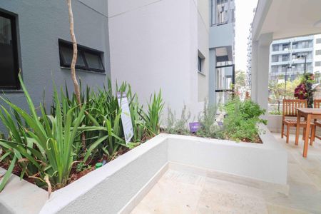 Apartamento para alugar com 39m², 2 quartos e sem vagaHorta