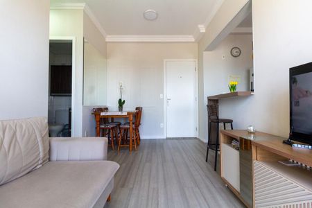 Sala de apartamento para alugar com 2 quartos, 48m² em Vila Paranagua, São Paulo