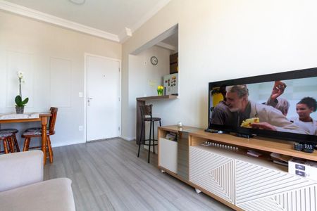 Sala de apartamento para alugar com 2 quartos, 48m² em Vila Paranagua, São Paulo