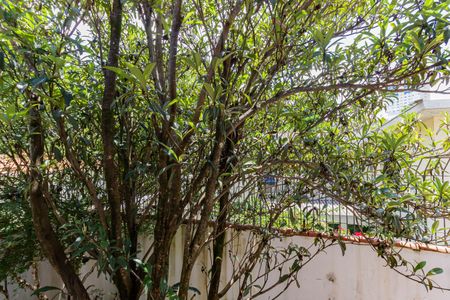 Casa à venda com 360m², 5 quartos e sem vagaVista da Suíte