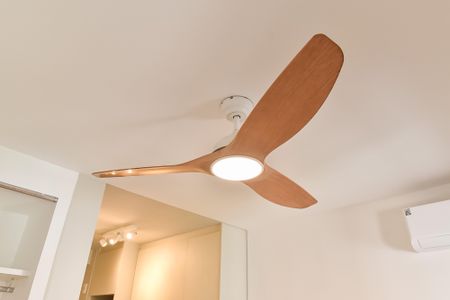 Studio para alugar com 25m², 1 quarto e sem vagaStudio