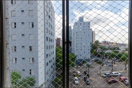 Sala - Janela de apartamento para alugar com 2 quartos, 55m² em Brasilândia, São Paulo