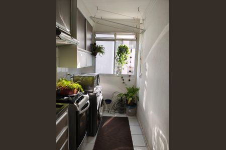 Apartamento para alugar com 2 quartos, 45m² em Chácaras Alpina, Valinhos