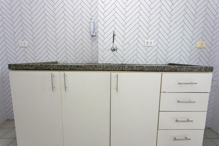 Apartamento para alugar com 57m², 2 quartos e 1 vagaCozinha - Armários