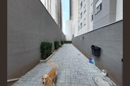 Apartamento para alugar com 51m², 2 quartos e sem vagaÁrea comum