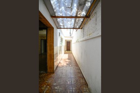 Casa para alugar com 250m², 3 quartos e 2 vagasQuintal