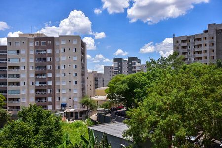 Apartamento para alugar com 80m², 3 quartos e 2 vagasVista