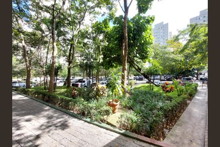 Apartamento para alugar com 66m², 3 quartos e sem vagaÁrea comum