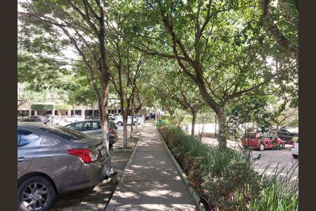 Apartamento para alugar com 66m², 3 quartos e sem vagaÁrea comum