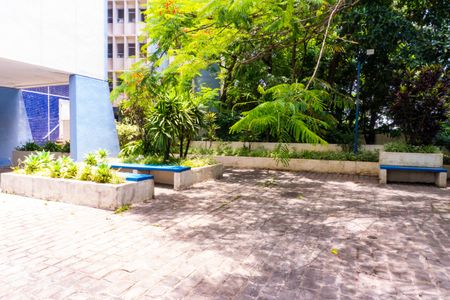 Apartamento para alugar com 65m², 3 quartos e 1 vaga Apartamento para alugar com 65m², 3 quartos e 1 vagaÁrea comum