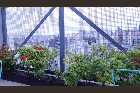 Studio para alugar com 26m², 1 quarto e sem vagaÁrea da Churrasqueira