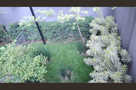 Studio para alugar com 26m², 1 quarto e sem vagaÁrea Verde