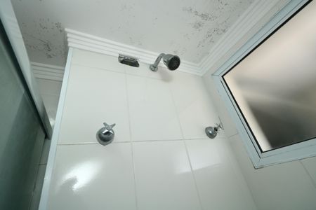 Apartamento para alugar com 67m², 2 quartos e 1 vagaBanheiro da Suíte